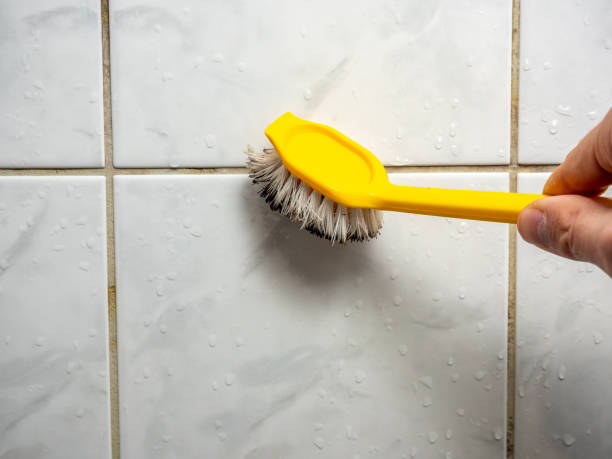Best Same-Day Mold Removal  in Arnold, MD