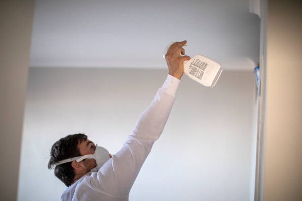 Best Fast Mold Removal  in Arnold, MD