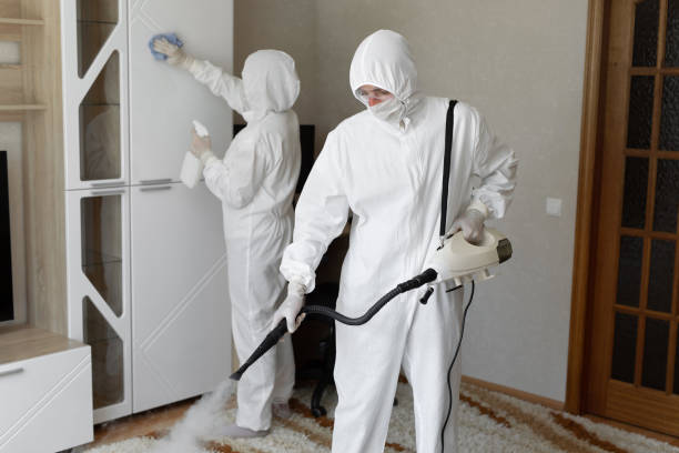 Mold Testing and Removal in Arnold, MD